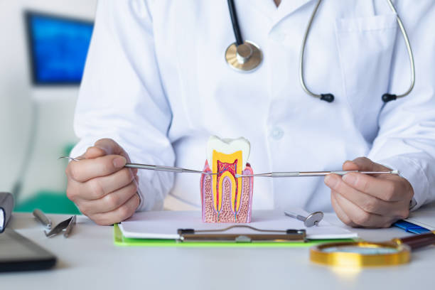 Best Broken or Cracked Tooth Emergency Dentist in Rangely, CO